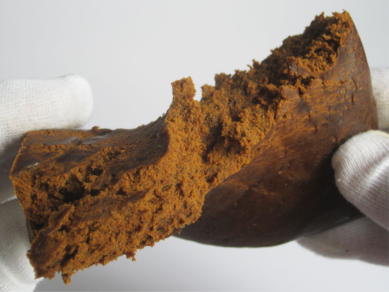 Standard Caramello - Image 2